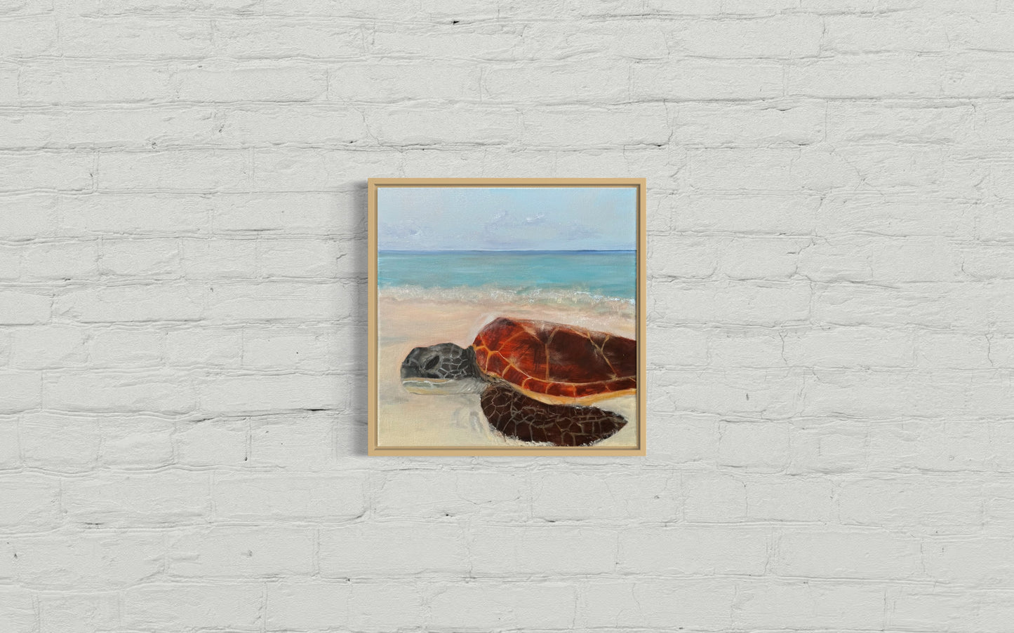Sunbathing turtle