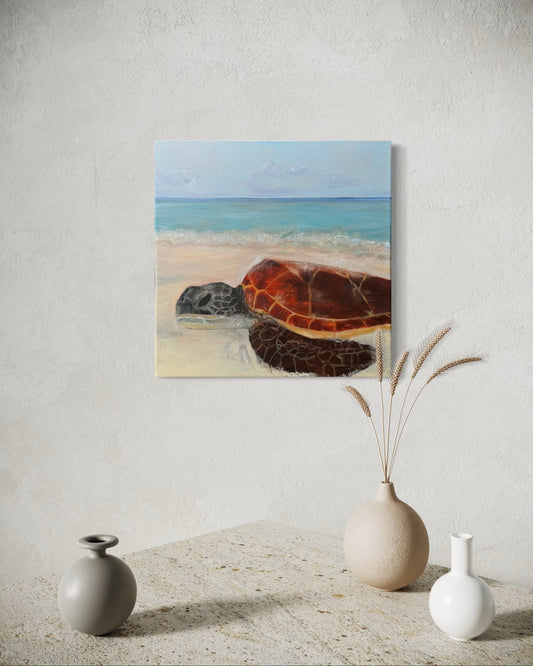 Sunbathing turtle